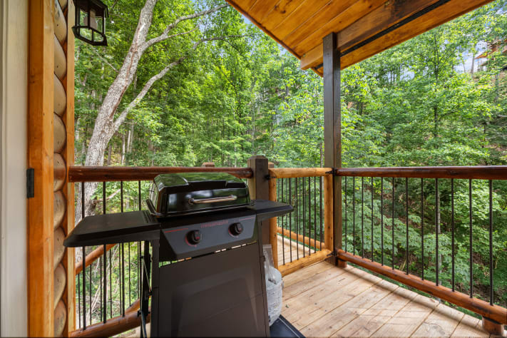 Pigeon Forge, Tennessee Cabin Rental - Gallery Image #22
