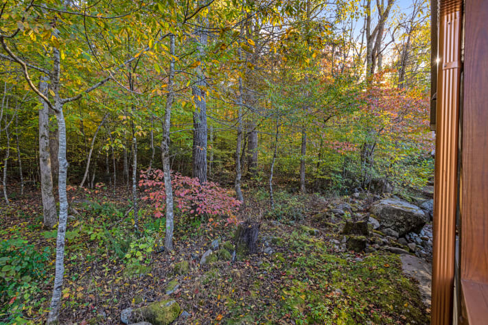 Gatlinburg, Tennessee Cabin Rental - Gallery Image #29