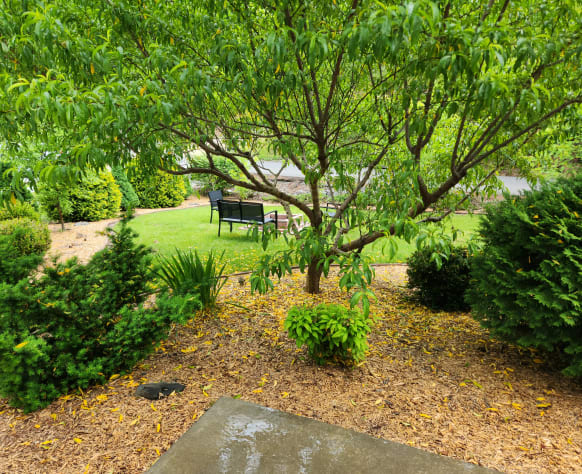 Pigeon Forge, Tennessee Cabin Rental - Gallery Image #6