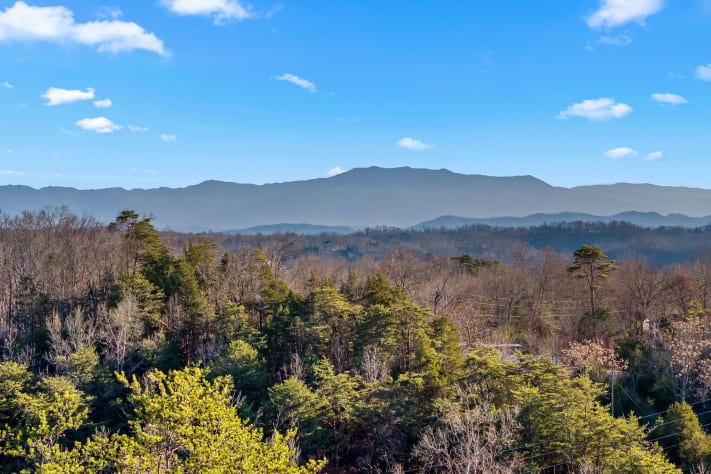 Pigeon Forge, Tennessee Cabin Rental - Gallery Image #4