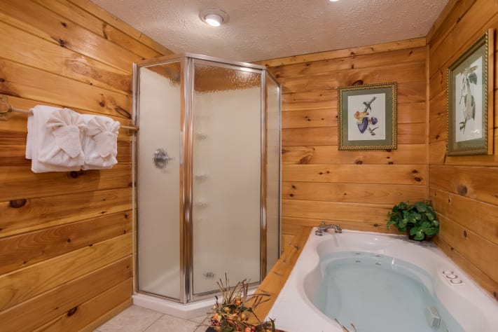 Gatlinburg, Tennessee Cabin Rental - Gallery Image #13