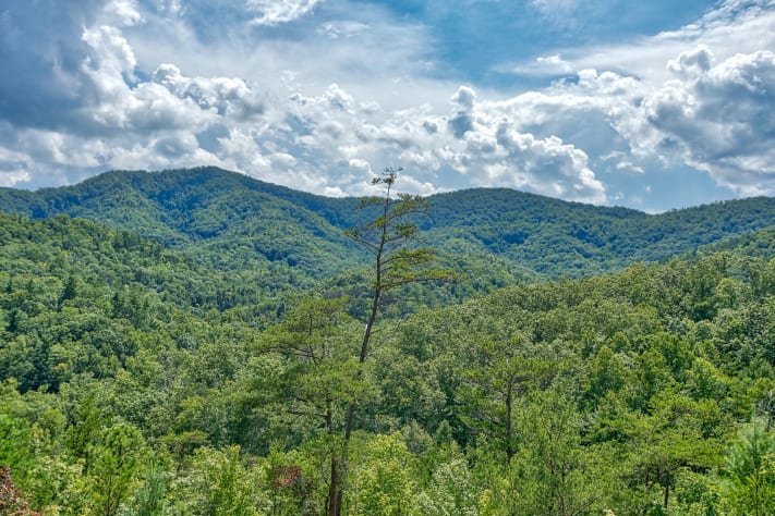 Pigeon Forge, Tennessee Cabin Rental - Gallery Image #17