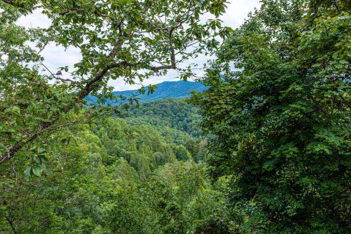 Gatlinburg, Tennessee Cabin Rental - Gallery Image #21