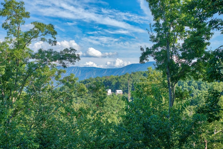Gatlinburg, Tennessee Lodge Rental - Gallery Image #20