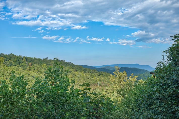 Gatlinburg, Tennessee Cabin Rental - Gallery Image #8