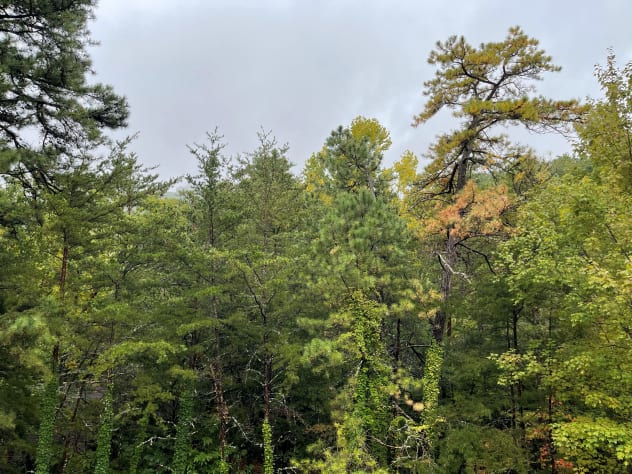 Gatlinburg, Tennessee Cabin Rental - Gallery Image #20