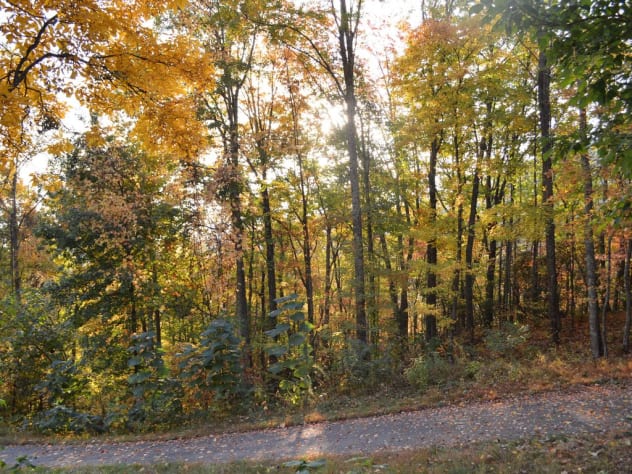 Private dead end road Gatlinburg, Tennessee Cabin Rental - Gallery Image #34