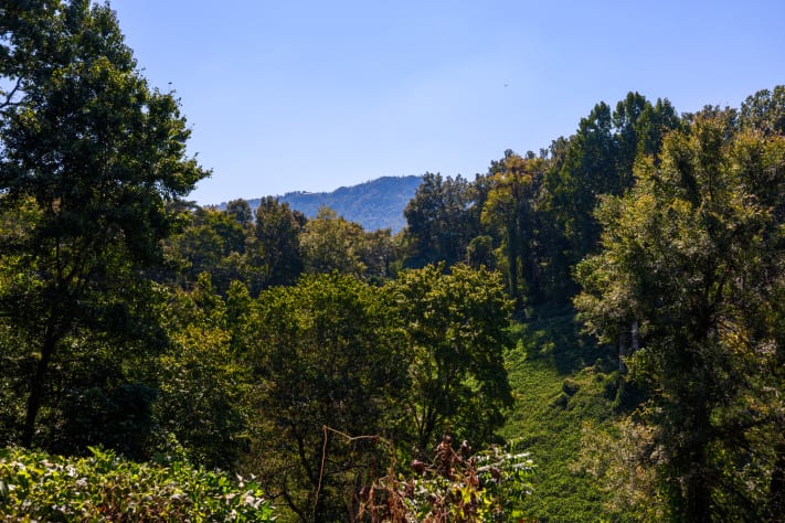 Sevierville, Tennessee Cabin Rental - Gallery Image #33