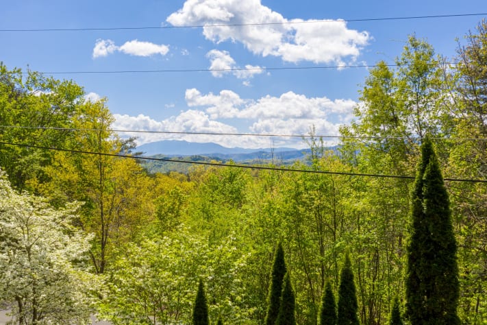 Pigeon Forge, Tennessee Cabin Rental - Gallery Image #7