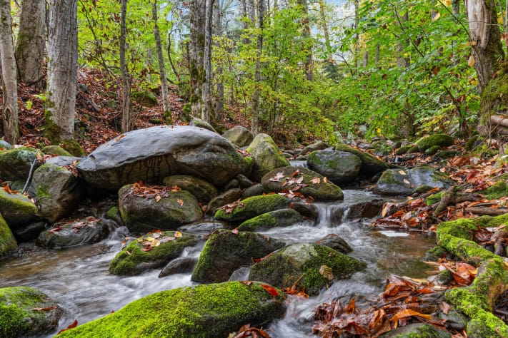 Gatlinburg, Tennessee Cabin Rental - Gallery Image #13