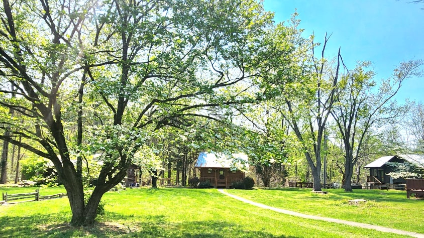 View of Townsend, Tennessee Cabin Rental - Gallery Image #1