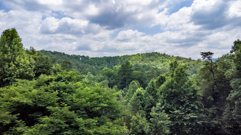 Pigeon Forge, Tennessee Cabin Rental - Gallery Image #9