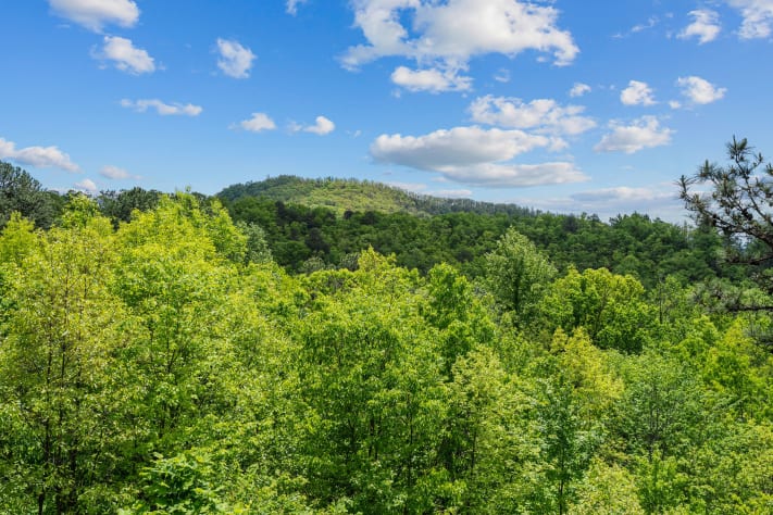 Sevierville, Tennessee Cabin Rental - Gallery Image #12