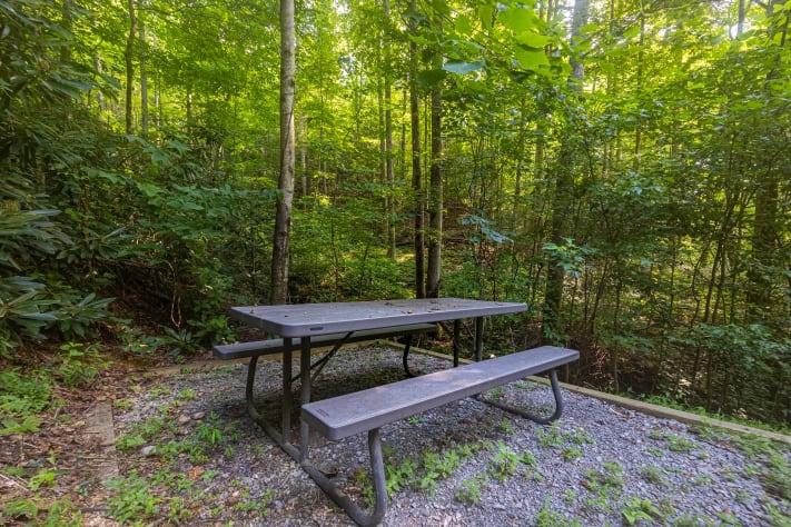 Pigeon Forge, Tennessee Cabin Rental - Gallery Image #8