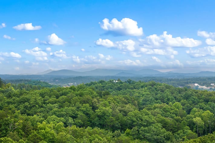 Gatlinburg, Tennessee Cabin Rental - Gallery Image #12