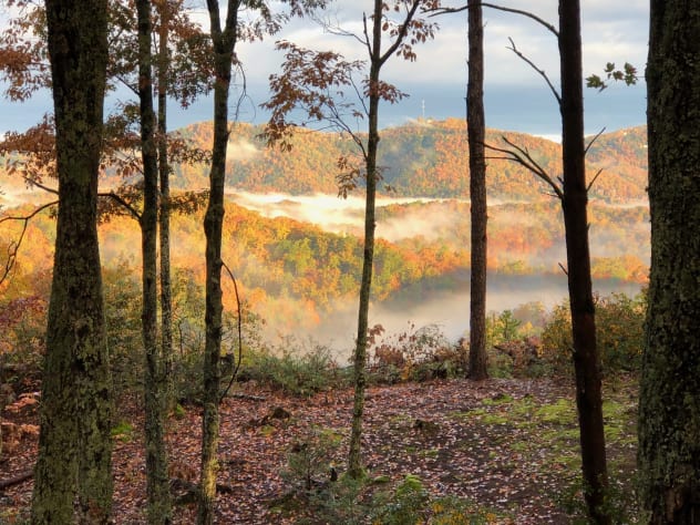 Gatlinburg, Tennessee Cabin Rental - Gallery Image #11
