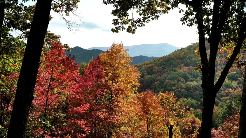 Pigeon Forge, Tennessee Cabin Rental - Gallery Image #6