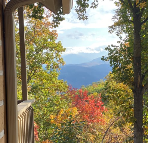 Gatlinburg, Tennessee Cabin Rental - Gallery Image #5