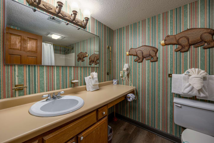 Gatlinburg, Tennessee Chalet Rental - Gallery Image #6