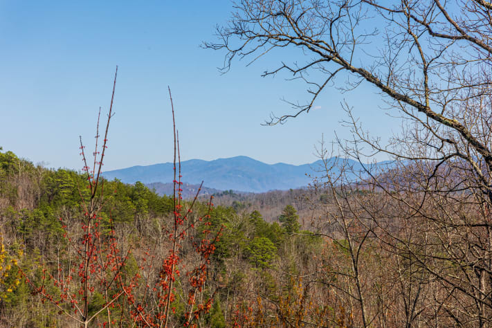 Pigeon Forge, Tennessee Cabin Rental - Gallery Image #13