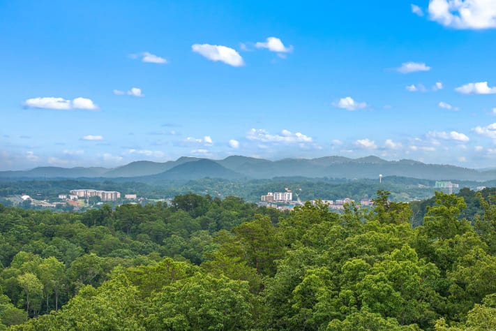 Gatlinburg, Tennessee Cabin Rental - Gallery Image #4