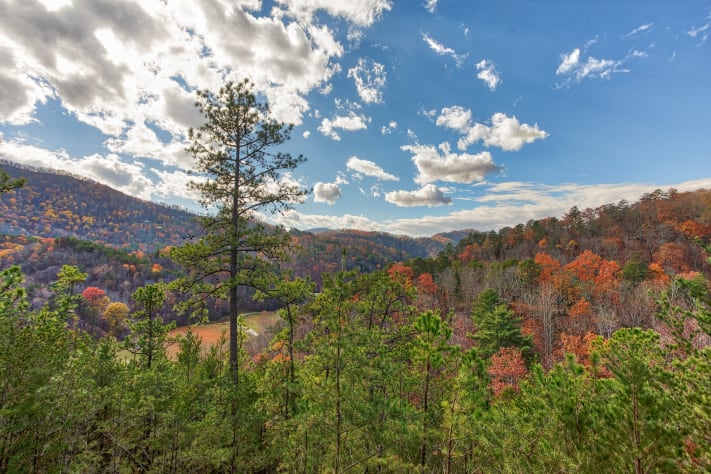 Pigeon Forge, Tennessee Cabin Rental - Gallery Image #24