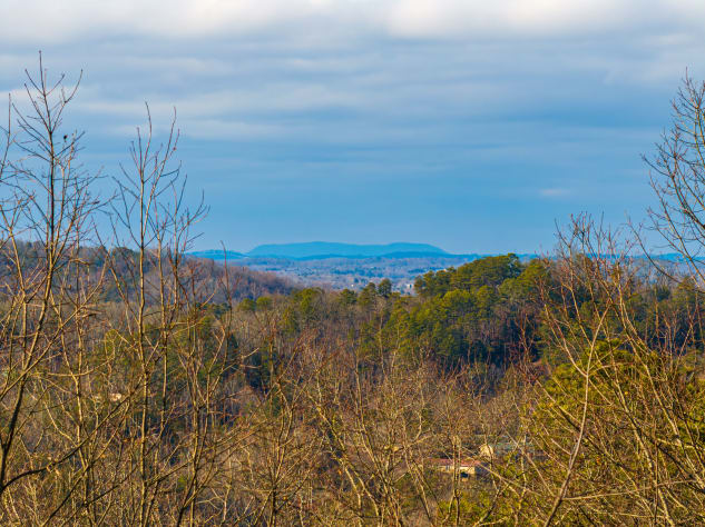 Pigeon Forge, Tennessee Cabin Rental - Gallery Image #3