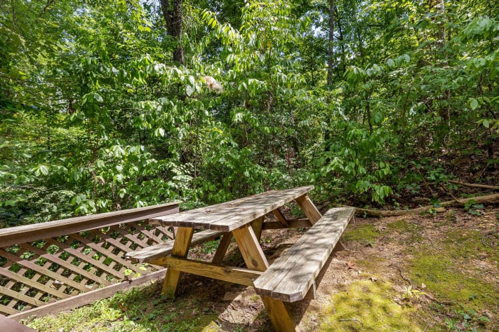 Gatlinburg, Tennessee Cabin Rental - Gallery Image #7