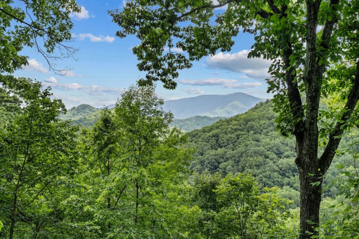 Pigeon Forge, Tennessee Cabin Rental - Gallery Image #3