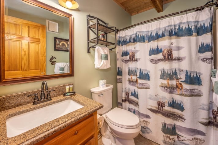 Over the Mountain - Main Level Bathroom #2 Pigeon Forge, Tennessee Cabin Rental - Gallery Image #25