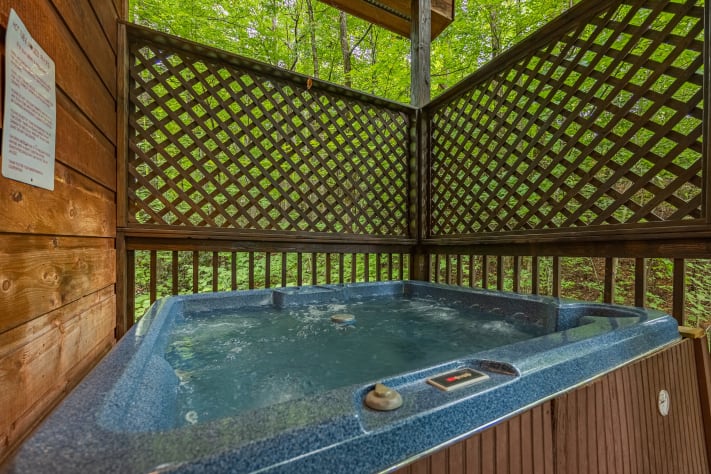 Gatlinburg, Tennessee Lodge Rental - Gallery Image #10