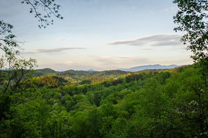 Pigeon Forge, Tennessee Cabin Rental - Gallery Image #23