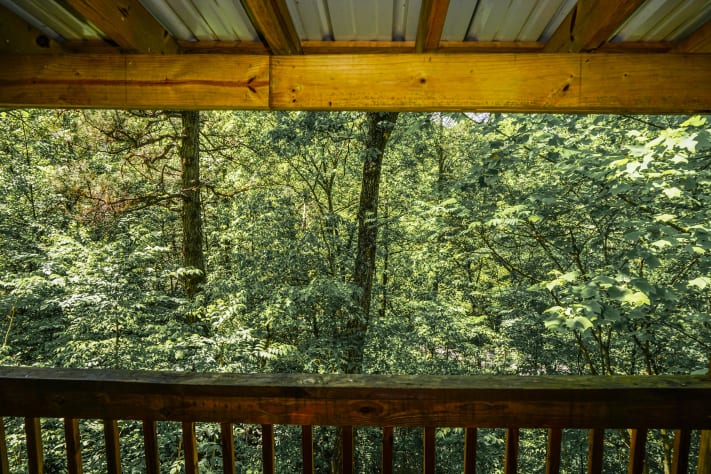 Gatlinburg, Tennessee Cabin Rental - Gallery Image #11