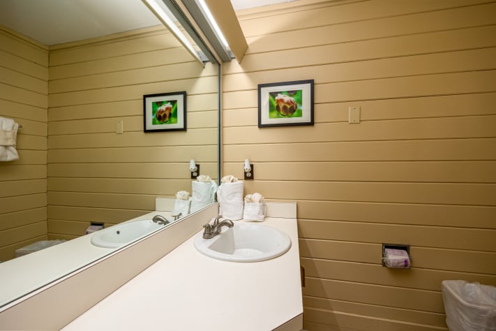 Gatlinburg, Tennessee Cabin Rental - Gallery Image #17