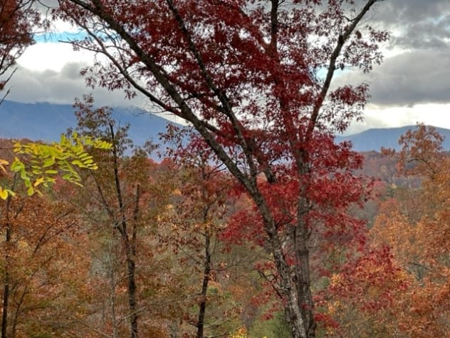 Gatlinburg, Tennessee Cabin Rental - Gallery Image #12