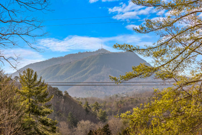 Pigeon Forge, Tennessee Cabin Rental - Gallery Image #2
