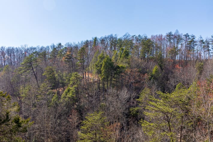 Pigeon Forge, Tennessee Cabin Rental - Gallery Image #23