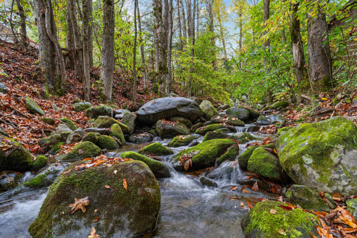 Gatlinburg, Tennessee Cabin Rental - Gallery Image #2