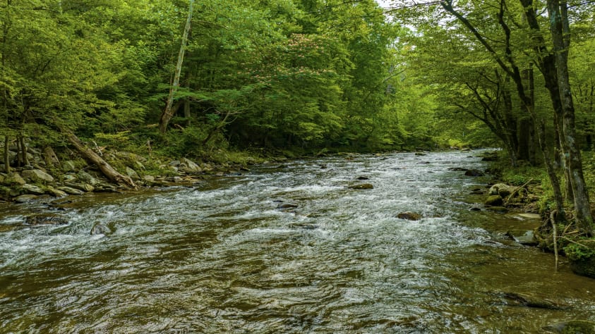 Gatlinburg, Tennessee Cabin Rental - Gallery Image #22