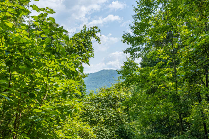 Pigeon Forge, Tennessee Cabin Rental - Gallery Image #17