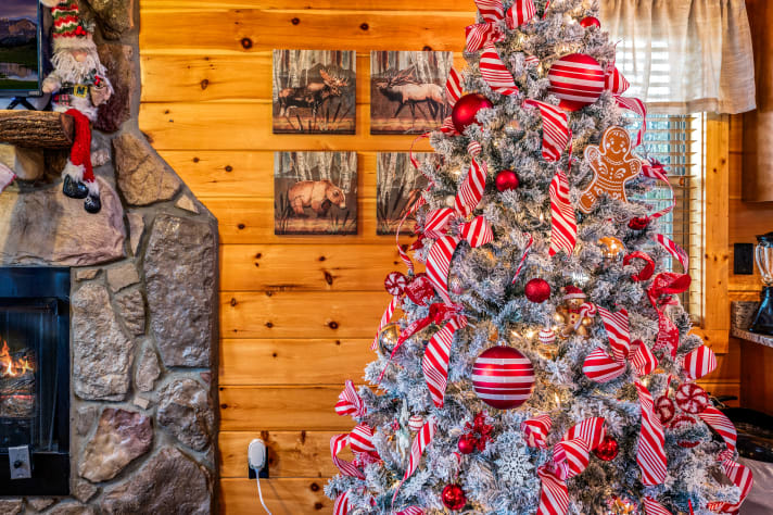 Sevierville, Tennessee Condo Rental - Gallery Image #36