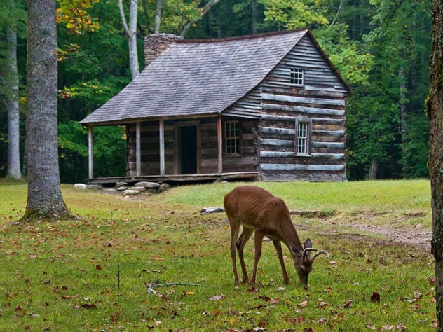 Sevierville, Tennessee Cabin Rental - Gallery Image #22