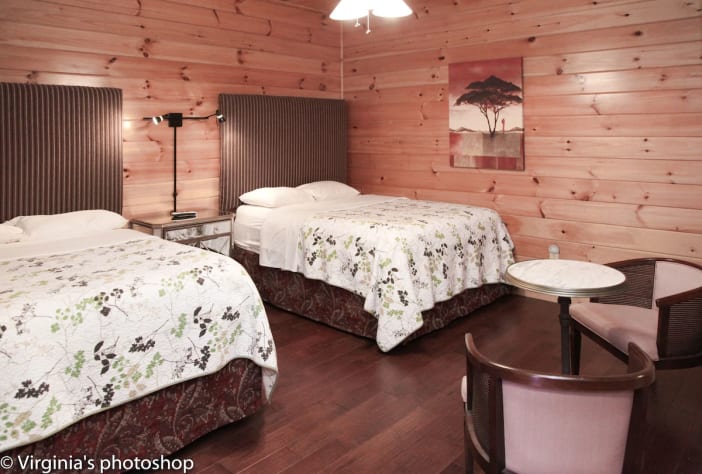 Pigeon Forge, Tennessee Cabin Rental - Gallery Image #18