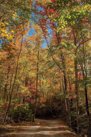 Sevierville, Tennessee Cabin Rental - Gallery Image #20
