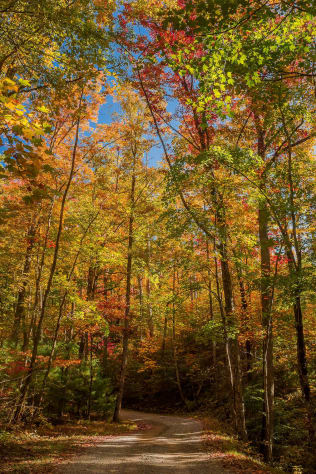 Sevierville, Tennessee Cabin Rental - Gallery Image #24