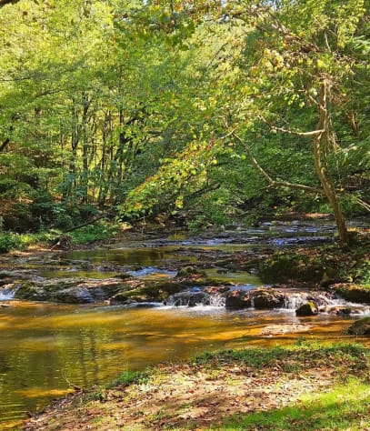 Sevierville, Tennessee Cabin Rental - Gallery Image #13