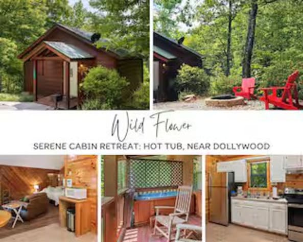 Sevierville, Tennessee Cabin Rental - Gallery Image #9