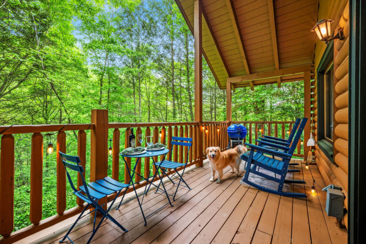 Sevierville, Tennessee Studio Rental - Gallery Image #16