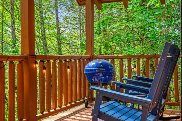 Sevierville, Tennessee Studio Rental - Gallery Image #17