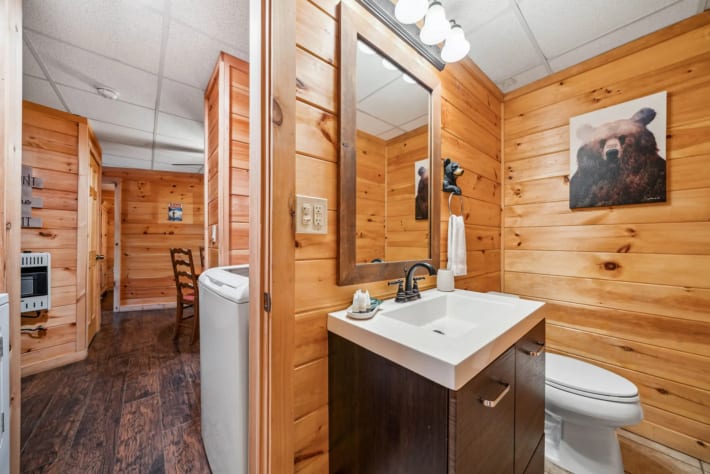 Blue Ridge, Georgia Cabin Rental - Gallery Image #19